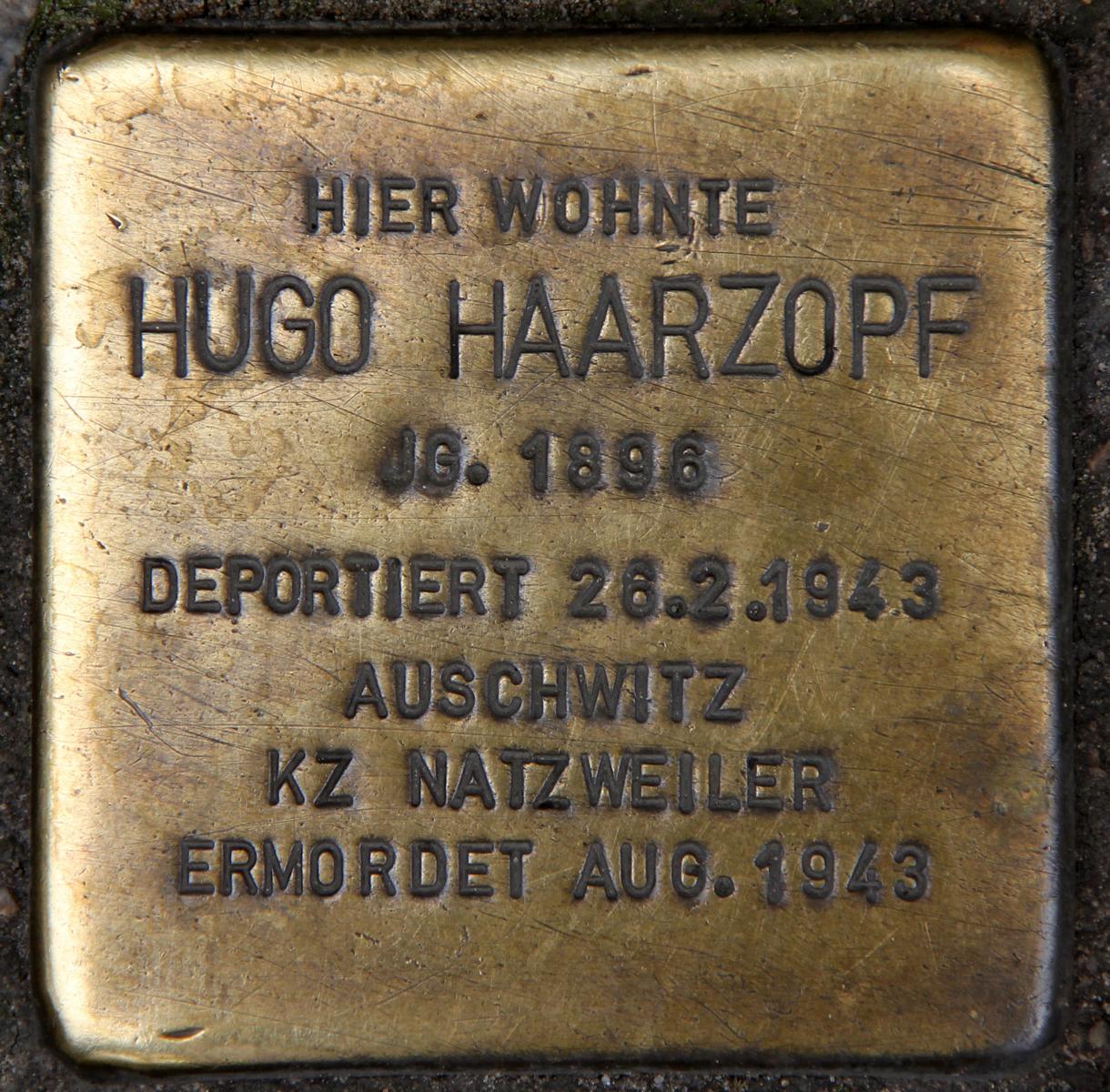 Hugo Haarzopf